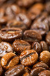 wet coffee beans