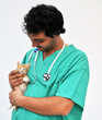 Foto: Veterinario con gattino rosso Veterinario con gattino rosso