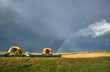 Rainbow behind parked combines in Saskatchewan