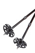Ski and hiking poles