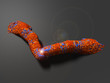 Biomechanik Finger 01