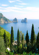 Capri island
