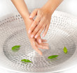 Foto: Woman's hands with green leaves Woman's hands with green leaves
