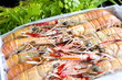 Langoustines