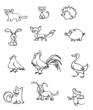 Cute animals Cute animals