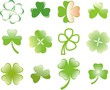 clover or shamrock for St Patrick’s day clover or shamrock for St Patrick’s day