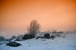 Winter morning