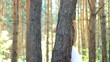 Woman in wedding dress Woman in wedding dress