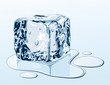 Vector: Ice cube on water surface Ice cube on water surface