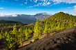 Beautiful lava landscape on the Cumbre Nueva in La Palma Beautiful lava landscape on the Cumbre Nueva in La Palma