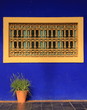 jardin majorelle, marrakech, maroc, afrique, morocco