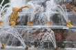 bassin de Latone à Versailles bassin de Latone à Versailles