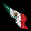 Abstract wing with Mexico flag on black background