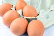 Frische Eier