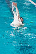 Swimmer athlete in the pool