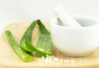 Aloe, Globuli und Mörser