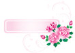 Abstract background with roses.