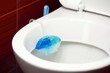 Photo: toilet cleanig detergent toilet cleanig detergent