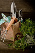 garden herbs with utensil garden herbs with utensil