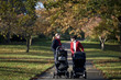 Two mothers pushing their buggies in the park, laughing