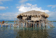 Pelican Bar