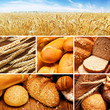 assortment of baked bread assortment of baked bread