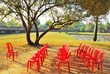 red chairs under a big tree red chairs under a big tree