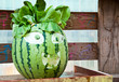 carved art on watermelon carved art on watermelon