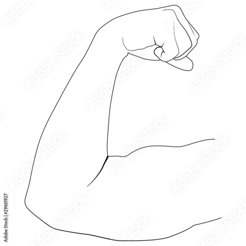 Vektor: man's arm showing biceps man's arm showing biceps
