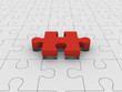 Last piece of puzzle