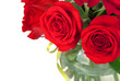 bouquet of red roses