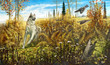 A dog chasing hazel grouses, in the autumn forest