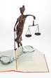 Code of laws for the court.
