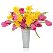 Spring Flower Beauty