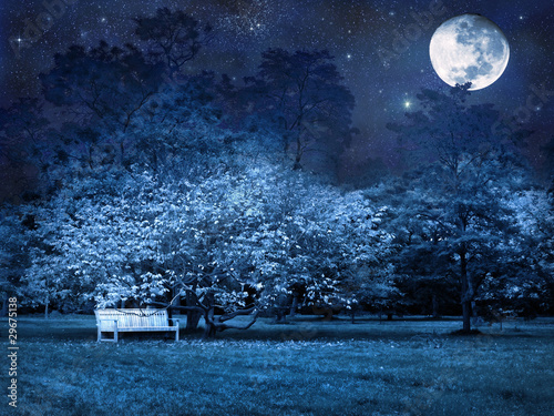 Foto: Full moon night in park Full moon night in park