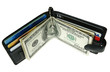 Wallet with dollars and credit cards Wallet with dollars and credit cards