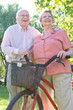 Grandparents portrait