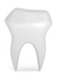 Illustration: Human tooth Human tooth