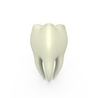 An isolated 3d tooth - a 3d image