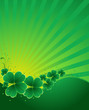 clover background clover background