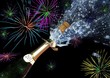 2012 - Party