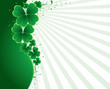 clover background clover background