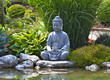 Buddist Buddist