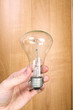 electric light bulb on wood background with hand
