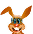 schlauer hase