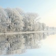 Foto: Frosty winter trees against a blue sky with reflection in water Frosty winter trees against a blue sky with reflection in water