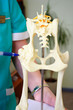 Hip dysplasia model of the dog