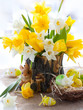 Narcissus and tulips for Easter Narcissus and tulips for Easter