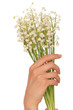 lily of the valley