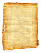 Old egyptian papyrus on the white background